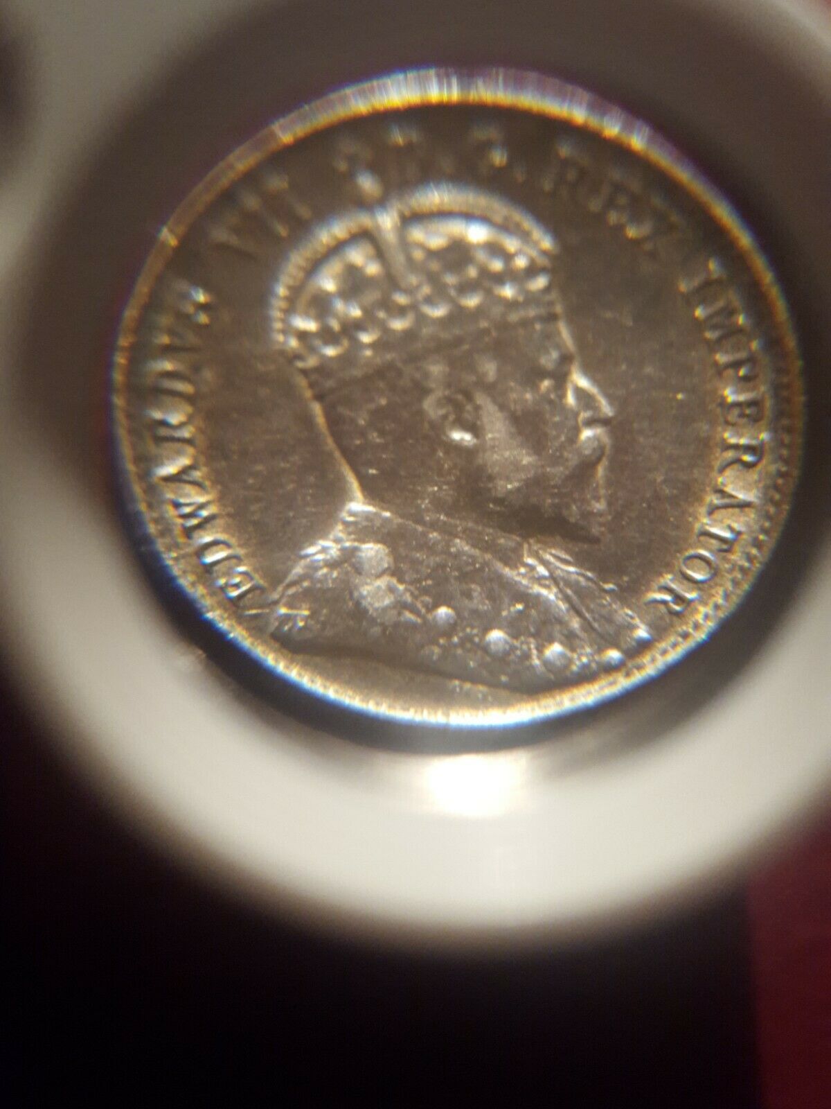 1902-10-Cents-For-Your-Expert-Grading-Tia